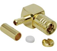 TRU COMPONENTS 1579244 Connecteur SMB femelle, coudé 1 pc(s)