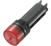 TRU COMPONENTS 718635 Générateur de signal Bruit généré: 80 dB Tension: 12 V DC/AC son intermittent 1 pc(s)