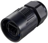 TRU COMPONENTS Connecteurs TC-12770448 Aide à l'insertion pour RJ45 1 pc(s)
