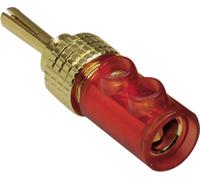 TRU COMPONENTS Fiche banane mâle, droit Ø de la broche: 4 mm rouge 1 pc(s)