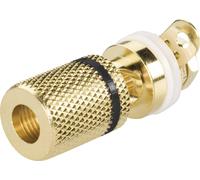 TRU COMPONENTS Fiche femelle de laboratoire Ø de la broche: 4 mm noir 1 pc(s)