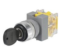 Tru Components Interrupteur à clé 250 V/AC 5 A Y090, Bouton + interrupteur, Noir