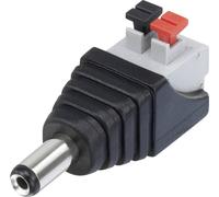 TRU COMPONENTS QT-DC2.1M Elément de liaison pour courant faible mâle, droit 5.5 mm 2.1 mm 1 pc(s)