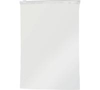 TRU COMPONENTS Sachet zip sans bande de marquage (L x l) 150 mm x 100 mm transparent Polyéthylène 100 pc(s)