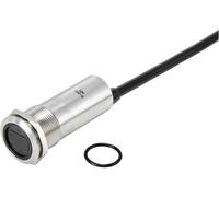 TRU COMPONENTS TC-10091072 ONPOW91-19D10BYSSNR6-24VDC Interrupteur sans contact 6 V, 24 V 300 mA 1 x Off/(On) à rappel rouge
