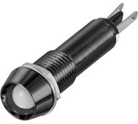 TRU COMPONENTS TC-12358888 Voyant de signalisation LED blanc 12 V/DC, 24 V/DC 10 mm 40 ° 1 pc(s)