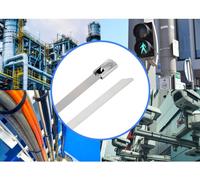 TRU COMPONENTS TC-12647556 Serre-câbles en acier 200 mm 4.6 mm AISI 304 100 pc(s)