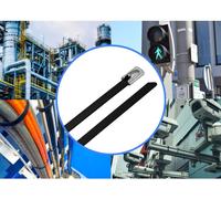 TRU COMPONENTS TC-12656544 Serre-câbles en acier 290 mm 4.6 mm AISI 304 avec revêtement 100 pc(s)