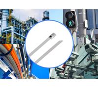 TRU COMPONENTS TC-12656560 Serre-câbles en acier 680 mm 4.6 mm AISI 316 100 pc(s)