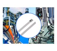TRU COMPONENTS TC-12656580 Serre-câbles en acier 520 mm 7.9 mm AISI 316 100