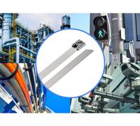 TRU COMPONENTS TC-12659388 Serre-câbles en acier 290 mm 7.9 mm AISI 304 100 pc(s)