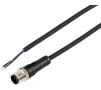 TRU COMPONENTS TC-12833132 Câble de raccordement M12 mâle, droit 2 m Nombre de pôles: 3 1 pc(s)