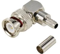 TRU COMPONENTS TC-12885940 Connecteur BNC mâle, coudé 50 Ω 1 pc(s)