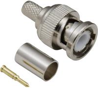 TRU COMPONENTS TC-2520045 Connecteur BNC mâle, droit 50 Ω 50 pc(s)