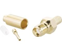 TRU COMPONENTS TC-2520054 Connecteur SMA femelle, droit 50 Ω 100 pc(s)