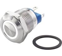TRU COMPONENTS TC-7494664 TC-GQ12-AF-10E/J/W/12V/S Bouton-poussoir antivandalisme 48 V/DC 2 A 1 x Off/(On) à rappel blanc IP65