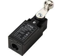 TRU COMPONENTS XZ-9/104 Interrupteur de fin de course 250 V/AC 10 A levier pivotant à galet à rappel IP65 1 pc(s)