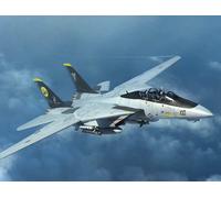 (TRU03919) - Trumpeter 1:144 - Grumman F-14D Tomcat