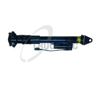 TRUCKTEC AUTOMOTIVE Amortisseur Arrière Pour Mercedes-Benz M-Klasse W164