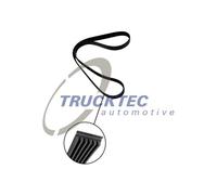TRUCKTEC AUTOMOTIVE Courroie À Nervures Pour VW Golf IV BMW 3 Compact 08.19.065