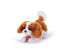 Trudi - Cavalier King Marley