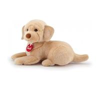 Trudi - Labrador Liam