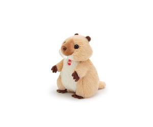 Trudi SW Col Marmotte Peluche Petit Cadeau | 7x9x7cm Taille XXS | Sweet Collection | modèle 51304