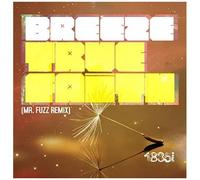 True Faith (Mr. Fuzz Remix)