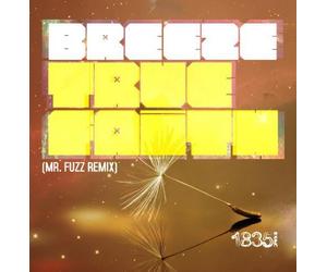 True Faith (Mr Fuzz Remix)