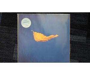True Faith (Remix) [Vinyl Single 12'']