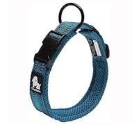TRUE LOVE Collier de Chien Réfléchissant Réglable Nylon Solide Confort rembourré Colliers Pet Classic TLC5011(Bleu,XS)