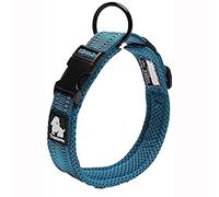 True Love Collier de Chien Réfléchissant Réglable Nylon solide Confort rembourré Colliers Pet Classic TLC5011(Bleu,L)