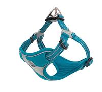 TRUE LOVE Harnais pour Chien Gilet de sécurité Step-in Style réfléchissant réglable Confortable TLH5991(Bleu,L)