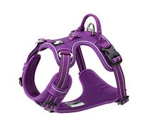 TRUE LOVE Harnais pour Chien No Pull Nylon Souple Réfléchissant Réglable pour Petit Grand Animal Domestique TLH56512(M, Violet)