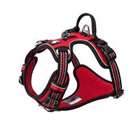 TRUE LOVE Harnais pour Chien No Pull Nylon Souple Réfléchissant Réglable pour Petit Grand Animal Domestique TLH56512(S, Rouge)