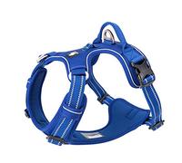 TRUE LOVE Harnais pour Chien No Pull Nylon Souple Réfléchissant Réglable pour Petit Grand Animal Domestique TLH56512(M, Bleu Royal)