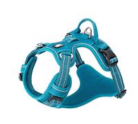 TRUE LOVE Harnais pour Chien No Pull Nylon Souple Réfléchissant Réglable pour Petit Grand Animal Domestique TLH56512(L, Bleu)