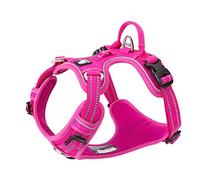 TRUE LOVE Harnais pour Chien No Pull Nylon Souple Réfléchissant Réglable pour Petit Grand Animal Domestique TLH56512(M, Fuchsia)