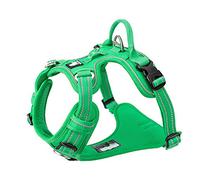 TRUE LOVE Harnais pour Chien No Pull Nylon Souple Réfléchissant Réglable pour Petit Grand Animal Domestique TLH56512(S, Vert Herbe)
