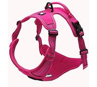 TRUE LOVE Réfléchissant Harnais De Chien Réglable Décourager Tirer Pet Gilet Durable en Nylon De Voiture TLH5651 (Fuchsia, M)