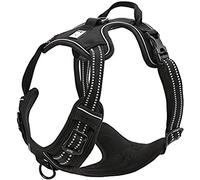TRUE LOVE Réfléchissant Harnais De Chien Réglable Décourager Tirer Pet Gilet Durable en Nylon De Voiture TLH5651 (Noir, M)