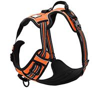 TRUE LOVE Réfléchissant Harnais De Chien Réglable Décourager Tirer Pet Gilet Durable en Nylon De Voiture TLH5651 (Orange, M)