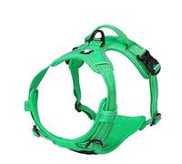 TRUE LOVE Réfléchissant Harnais De Chien Réglable Décourager Tirer Pet Gilet Durable en Nylon De Voiture TLH5651 (Vert d'herbe, S)