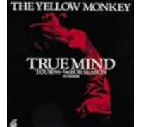 True Mind Tour 9596 For Season:In Motion [Dvd]