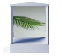 True Mirror Non Reversing,See The Real You Through This Non-Reversing Mirror,Portable Magnifying Cosmetic Mirror,Triangular Fixed Non-reversing Mirror,Non Reversing Mirror (bleu)