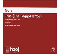 True The Faggot Is You Import