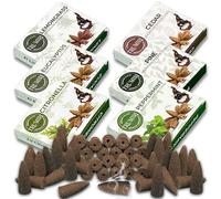 Trumiri Lot de 60 cônes d'encens à refoulement avec Feuilles - Total de 60 cônes d'encens Cascade (6 parfums x 10 cônes) - Citronnelle, Eucalyptus, Menthe poivrée, cèdre, pin - Cônes d'encens à