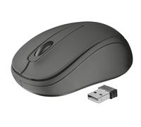 Trust 21509 souris Bureau Ambidextre RF sans fil Optique 1000 DPI