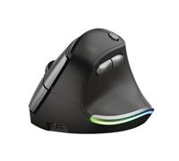 Trust 24110 Bayo Wireless Rechargeable Ergonomic Mouse noir/gris