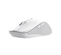 Trust Souris sans fil Ferro, Molette ultra-rapide & défilement horizontal, BT & 2.4 GHz, Blanc
